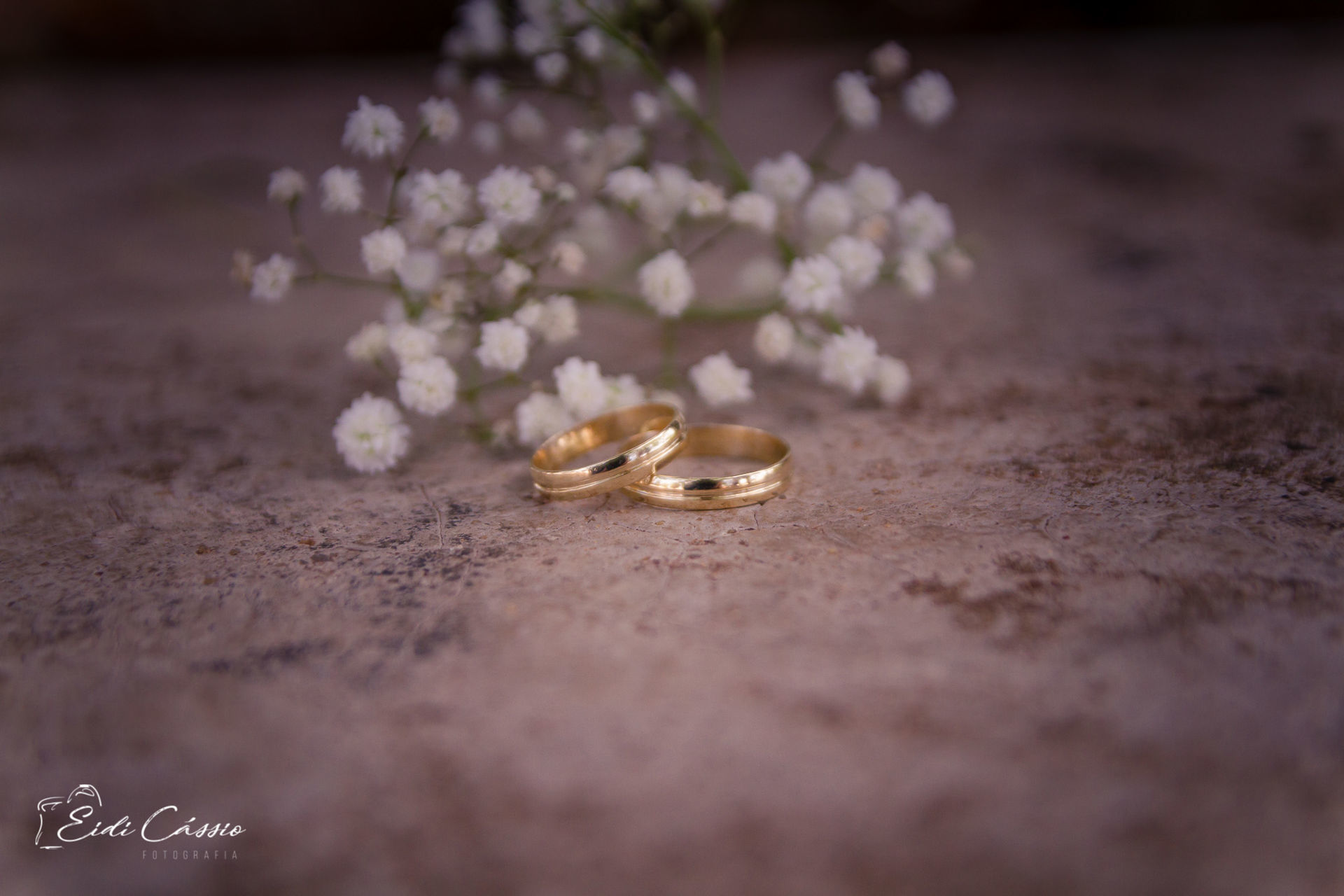 Foto Casamento - Civil - Nice e Daniel - Imagem 26