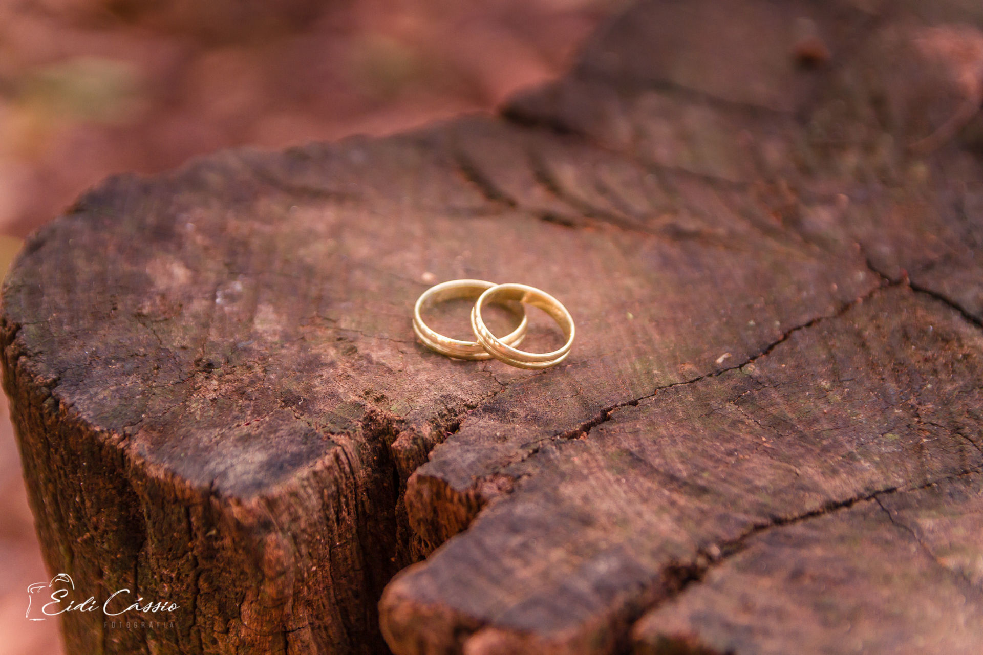 Foto Casamento - Civil - Nice e Daniel - Imagem 25