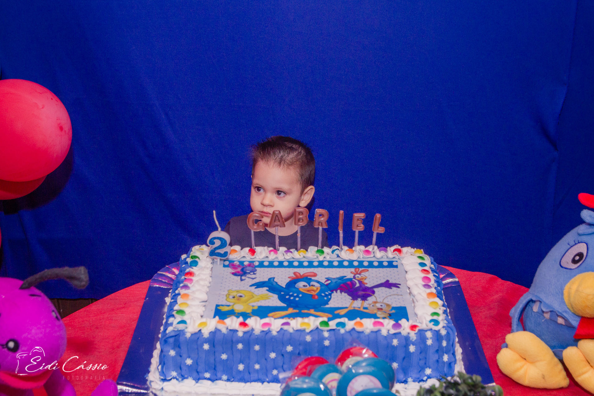 Foto Gabriel - 2 anos - Imagem 25