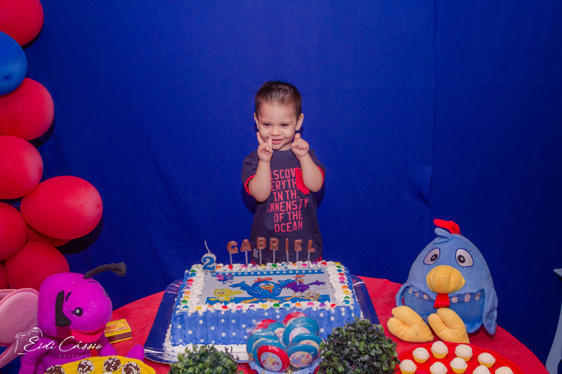 Foto Gabriel - 2 anos - Imagem 26