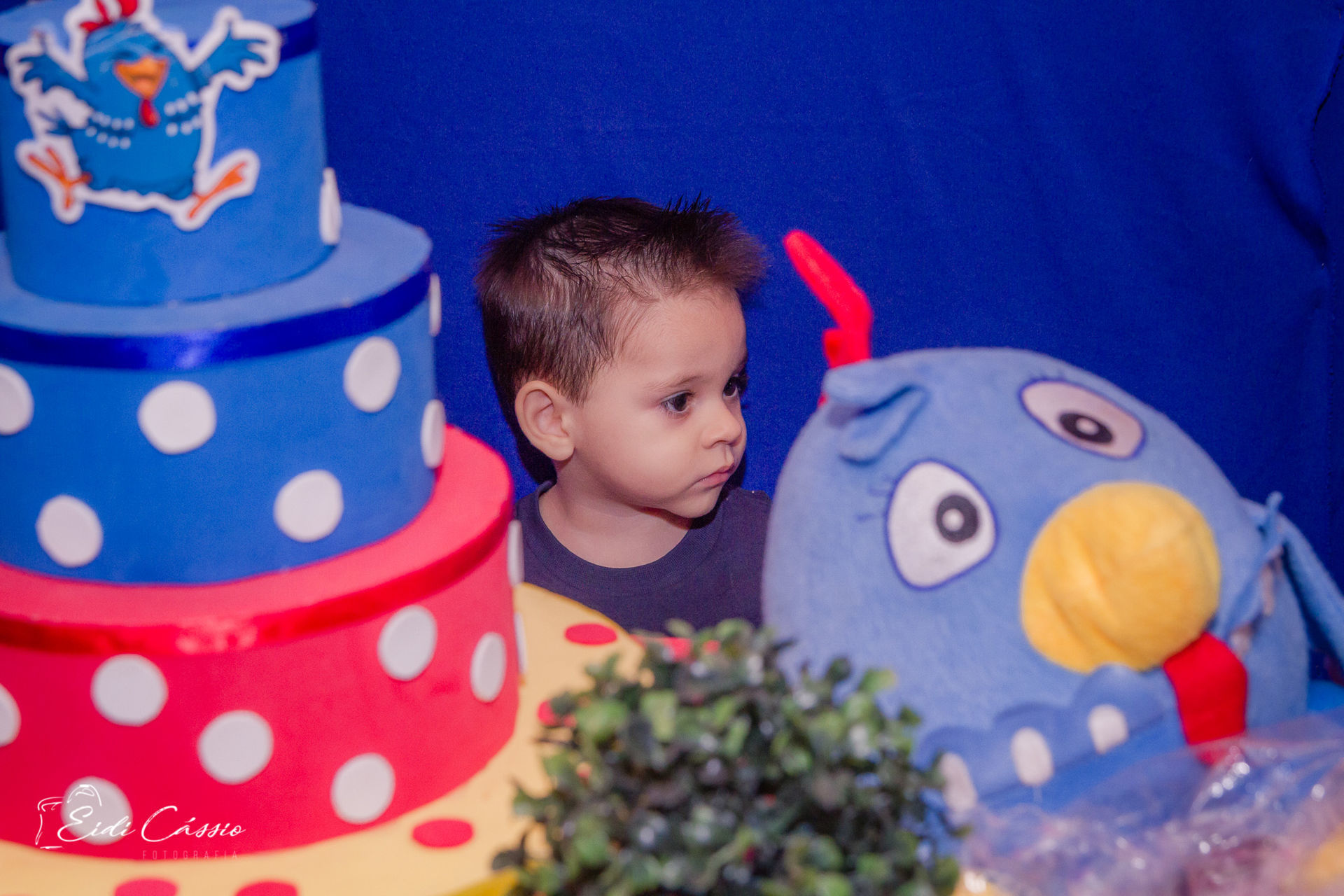 Foto Gabriel - 2 anos - Imagem 24