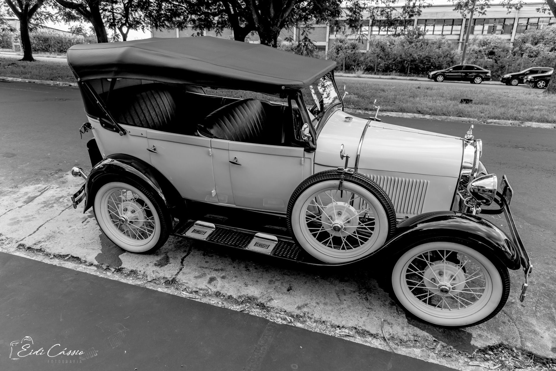 Foto Casamento - Alessandra e Marcos - Imagem 12