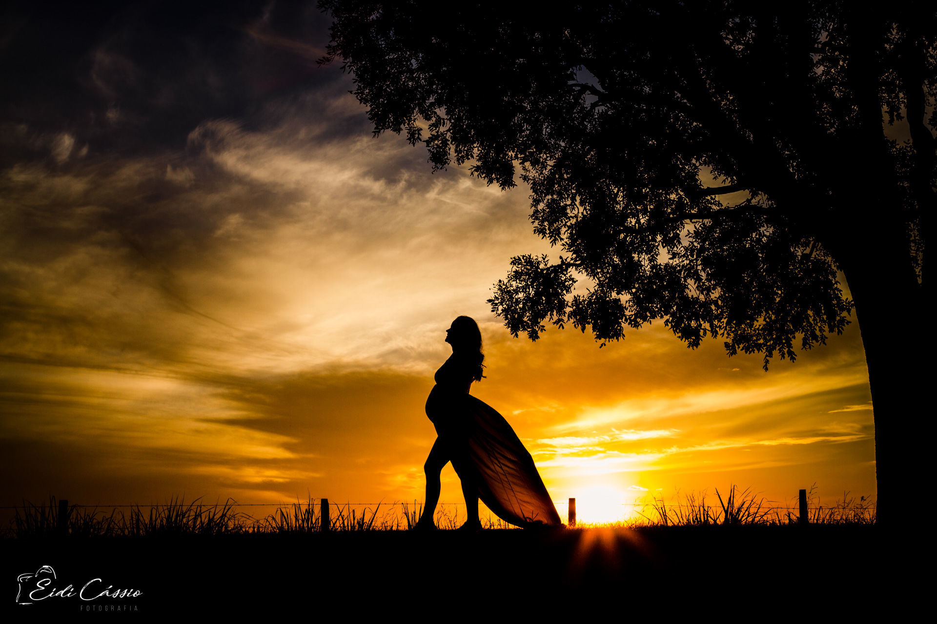 Foto A doce espera pela Maria Luiza - Imagem 18
