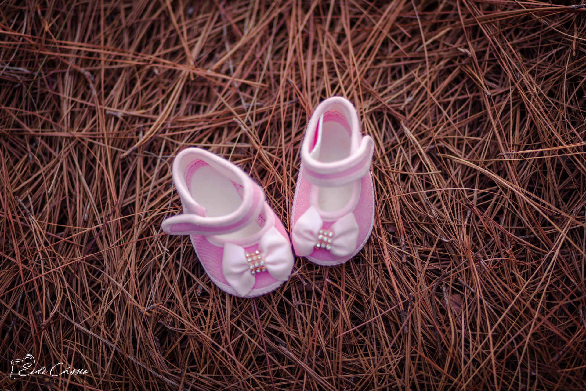 Foto A doce espera pela Maria Luiza - Imagem 15