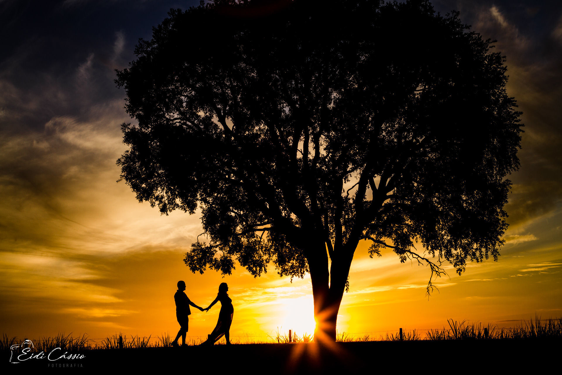 Foto A doce espera pela Maria Luiza - Imagem 17